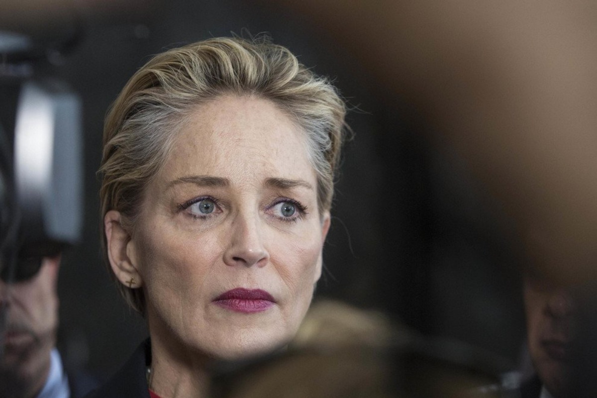 sharon stone nipotino