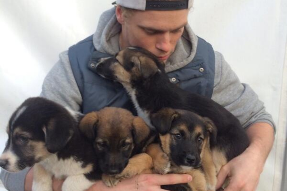 La storia di Gus Kenworthy