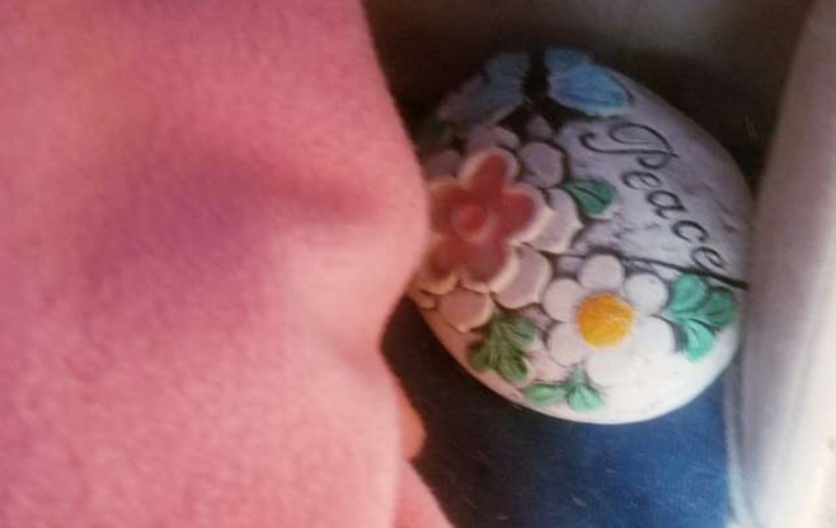 Donna crede che Loki sia un gatto randagio, ma poi scopre qualcosa di inaspettato