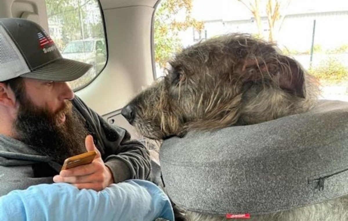 La storia del cane Merlin