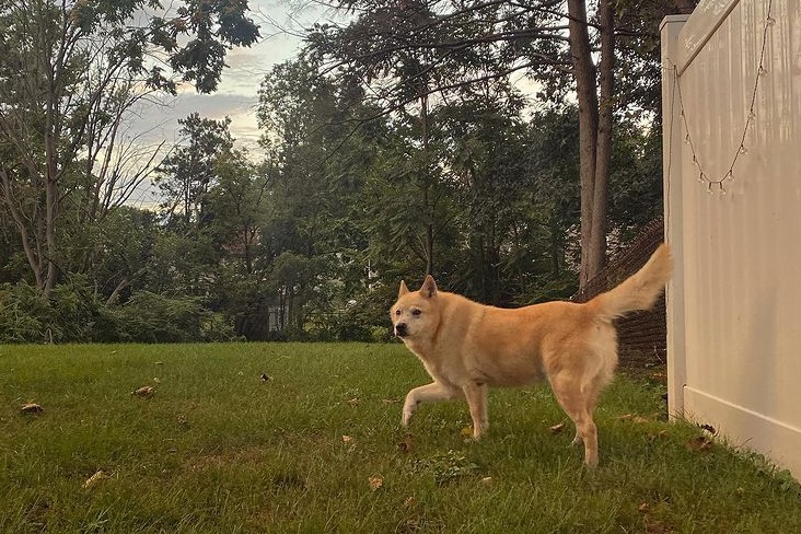 L'amicizia tra Ryan e Mollybear