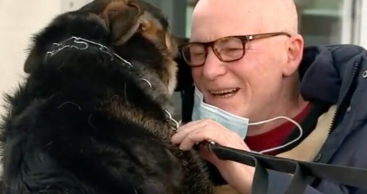 La riunione tra Brian e Sadie