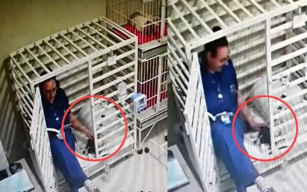 Il video del veterinario