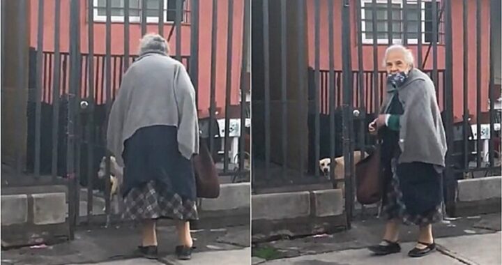 Anziana condivide il pane con il cane del vicino