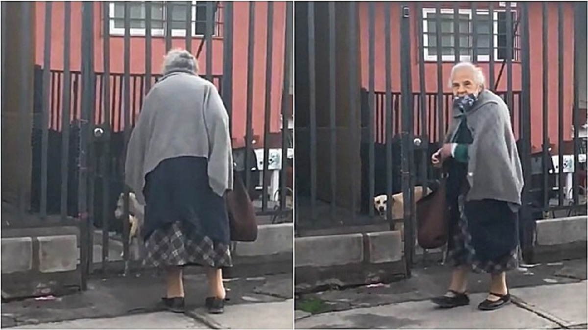 Old woman shares bread with the neighbor's dog