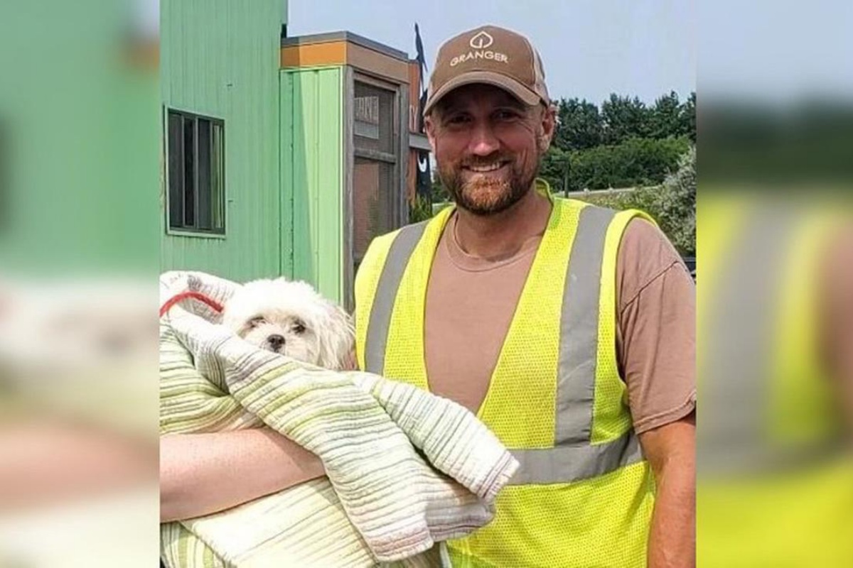 L’uomo che raccoglie la spazzatura ha trovato una cagnolina abbandonata dentro il camion dei rifiuti