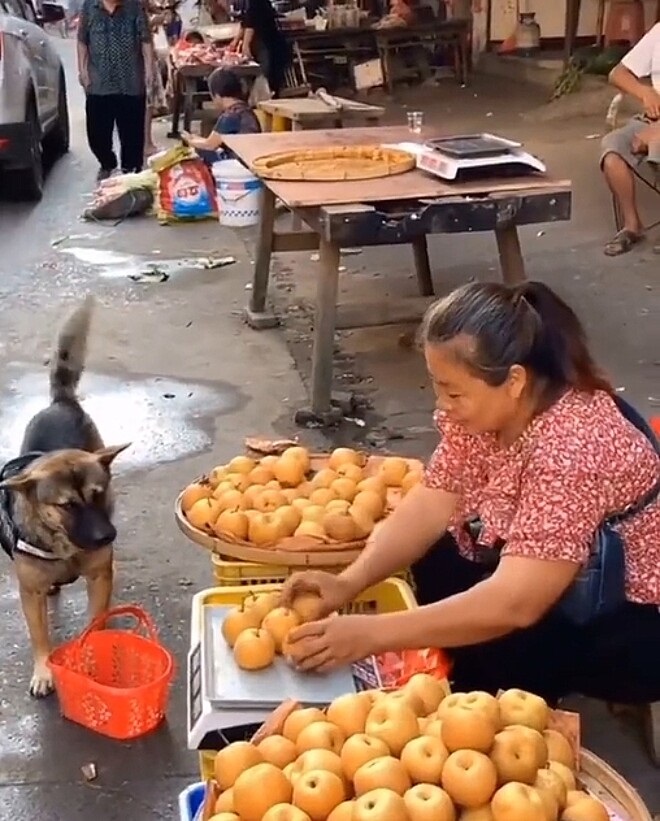 comprare della frutta fresca