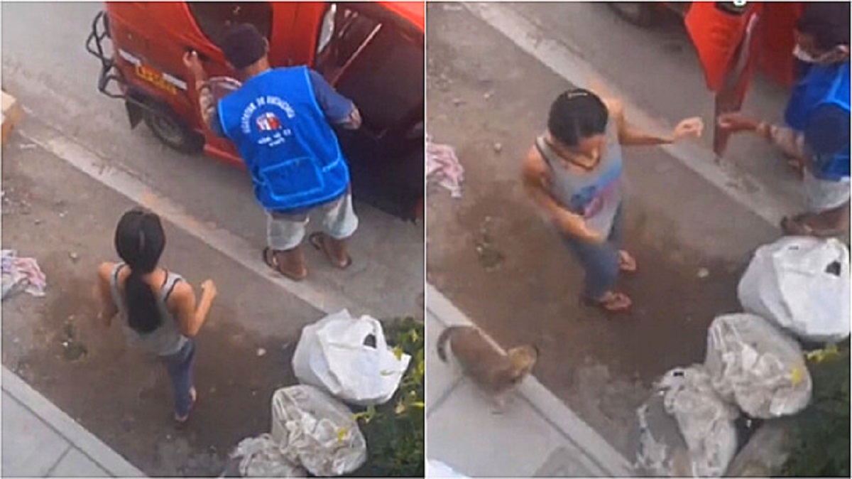 Cane torna a casa da solo in moto-taxi dopo che il proprietario lo ha dimenticato al mercato (VIDEO)