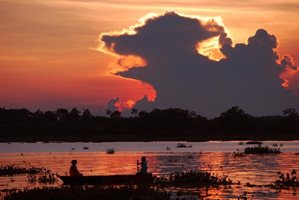 clouds in the shape of a dog