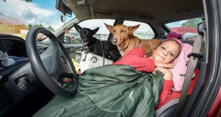Maestra vive in auto