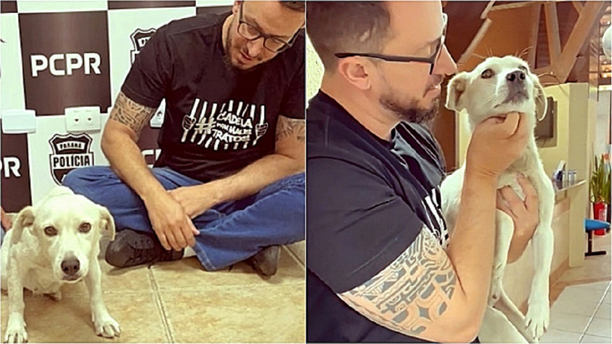 Matheus Laiola salva un cane paraplegico
