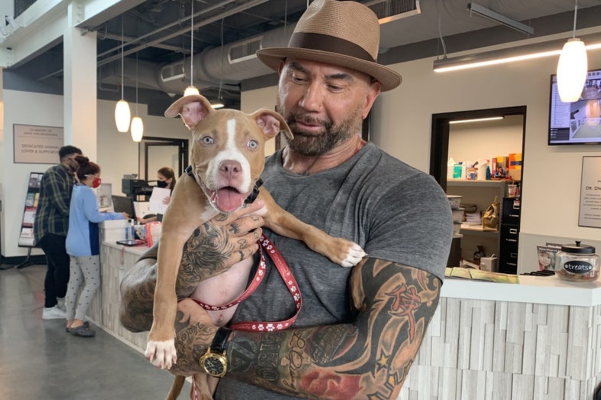 L’attore Dave Bautista ha deciso di adottare il piccolo Sage, il cucciolo trovato abbandonato in un cimitero in condizioni gravi