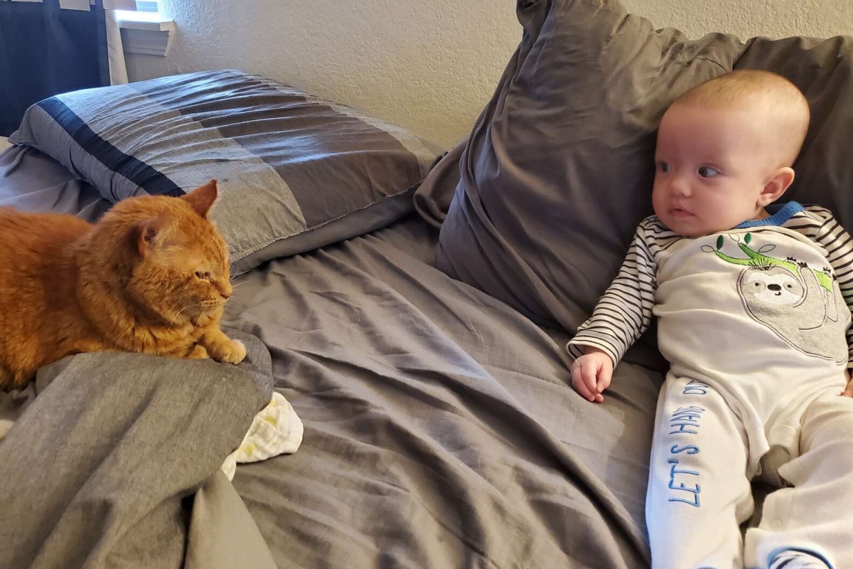 La mamma umana scopre cosa fa il suo gatto Sunny con la sua bambina durante la notte: le foto sono diventate virali