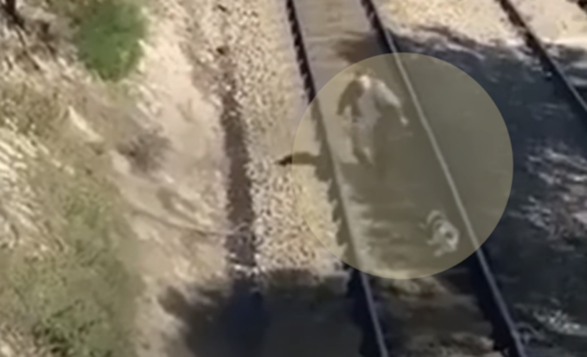 il video falso di un uomo che salva un cane