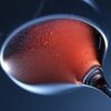 vino novello