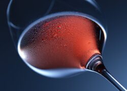 vino novello