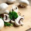 Accessori per la ricerca dei funghi