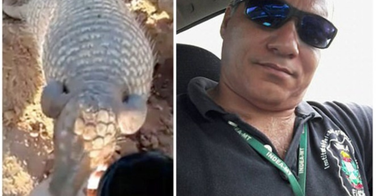 La gratitudine di un armadillo 