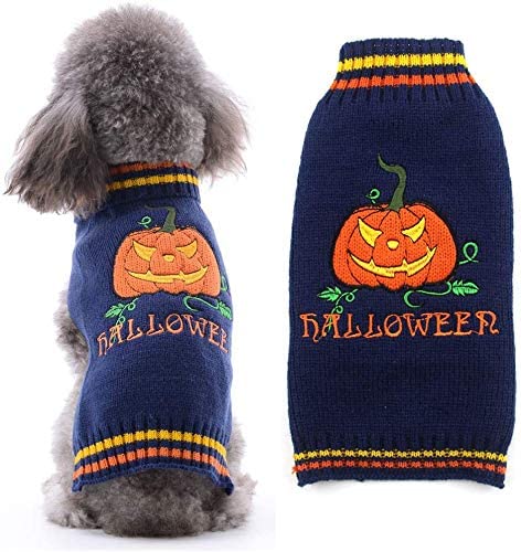 Doggyzstyle Costume per Halloween, maglioncino con disegno di zucca