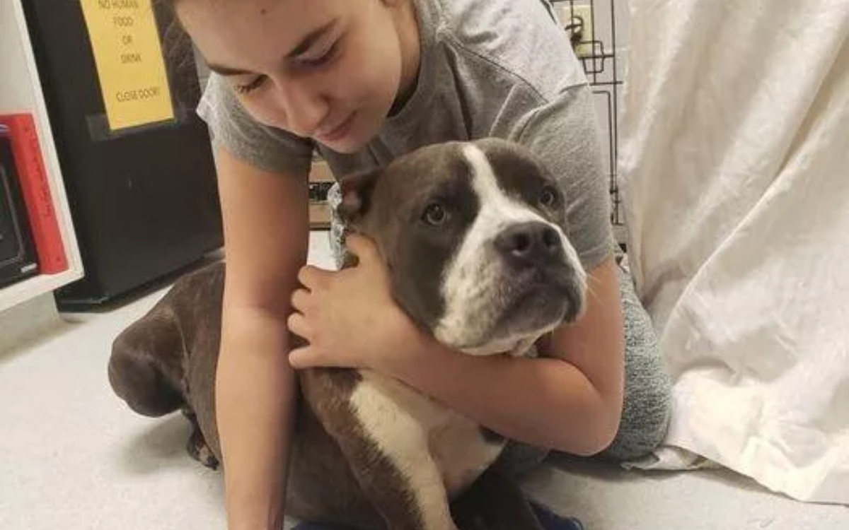 La storia del cane Sebastian