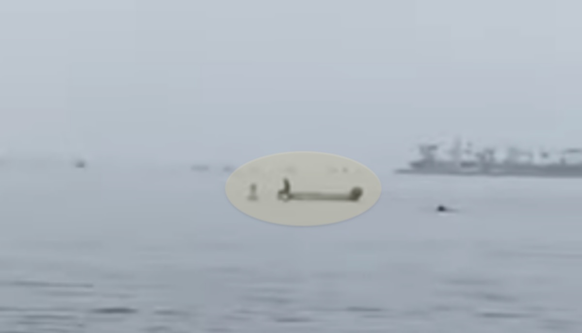 L’incredibile storia del salvataggio della cagnolina Siren