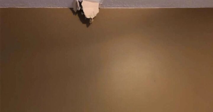 Il gesto eroico di Toby
