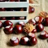 accessori per cuocere le castagne