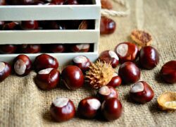 accessori per cuocere le castagne