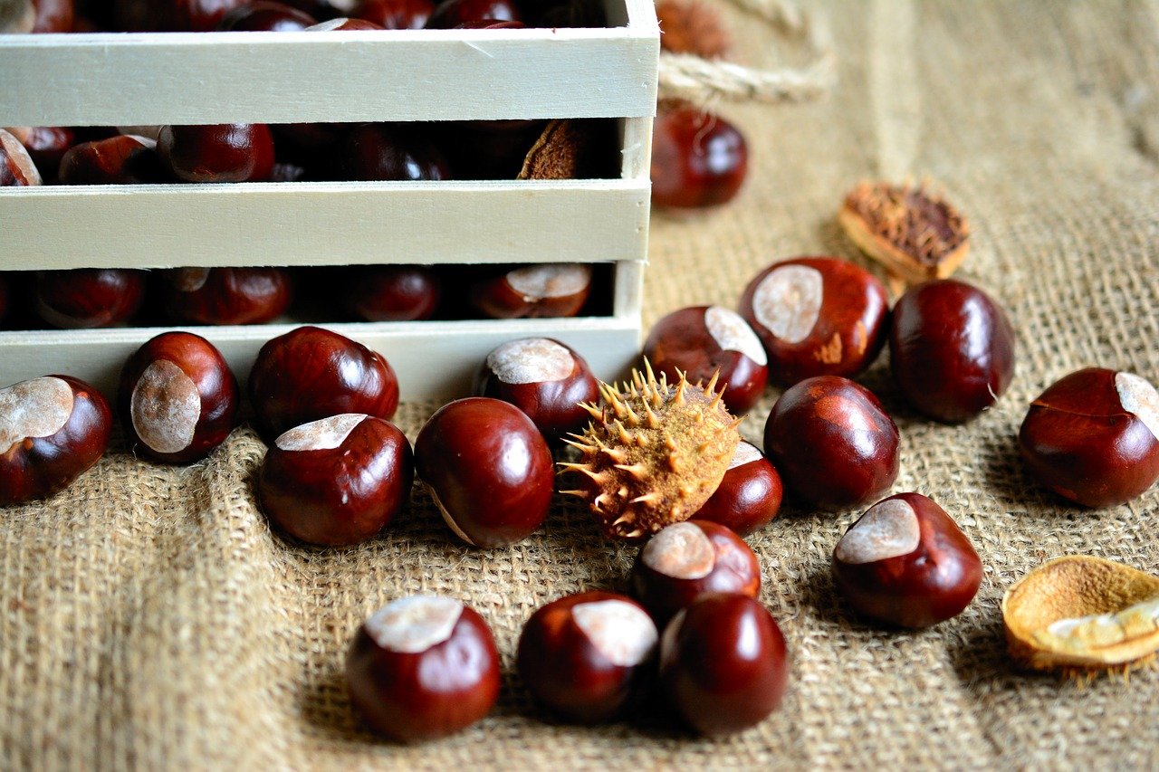 Gli accessori per cuocere le castagne e servirle in tavola più utili