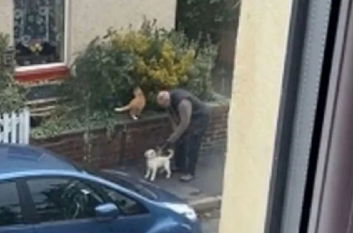Il video di un cagnolino
