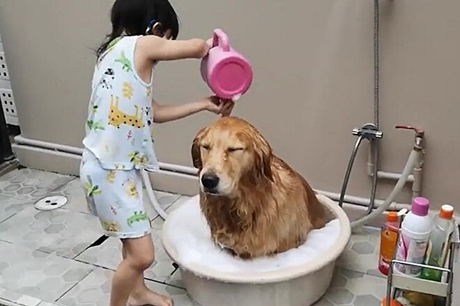 Cane aspetta che la bambina finisca di fargli il bagnetto