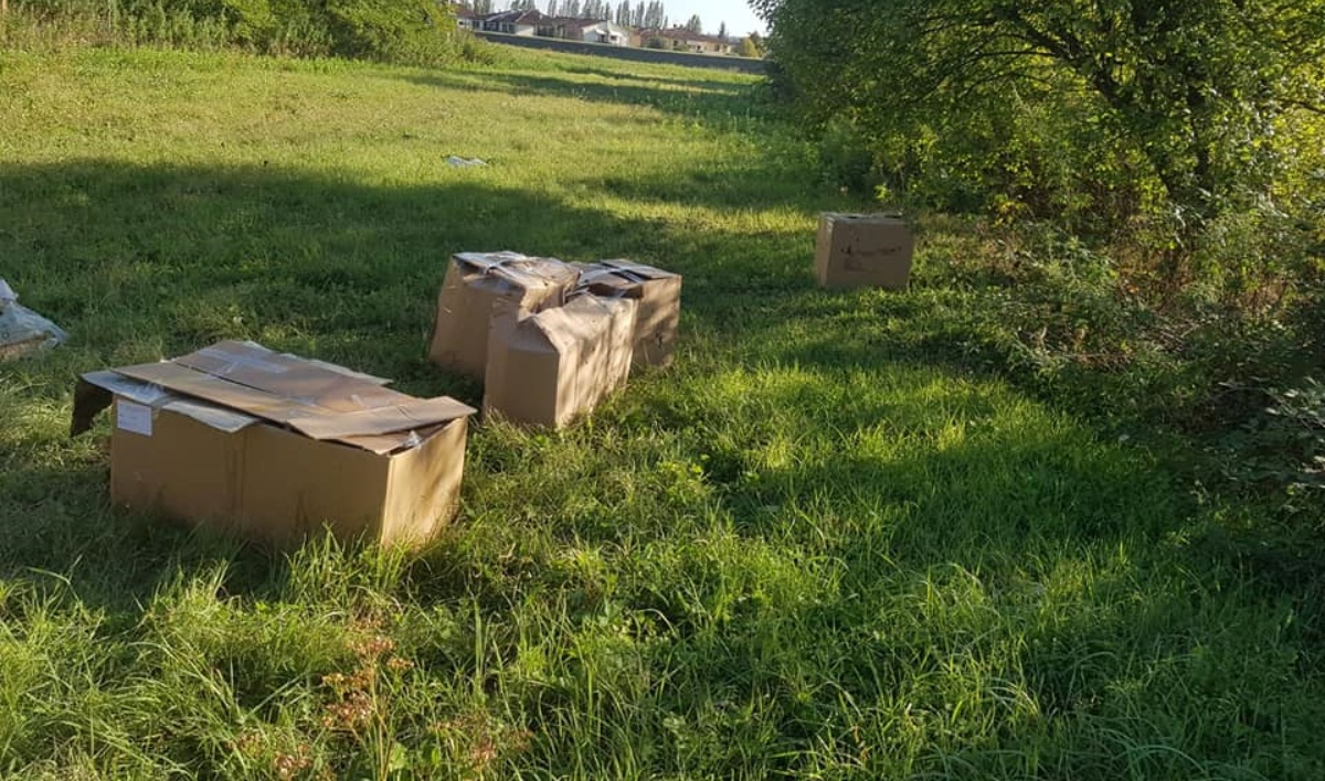 Abbandonati dodici cuccioli in delle scatole