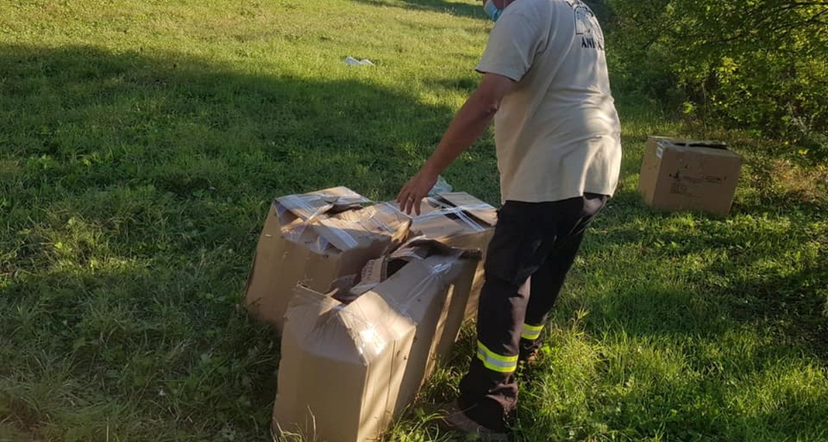 Abbandonati dodici cuccioli in delle scatole