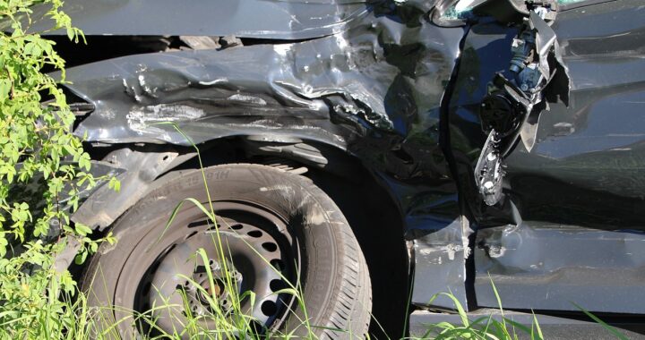 Incidente con un cinghiale