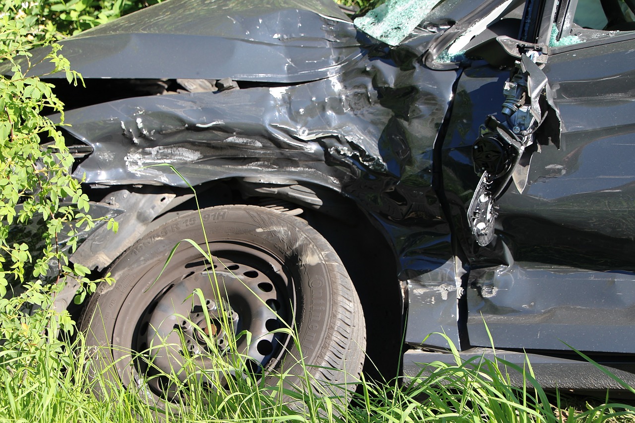 Incidente con un cinghiale