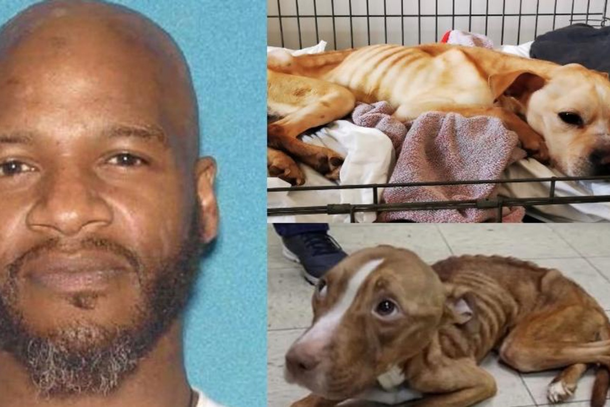 jaheim hoagland arrestato
