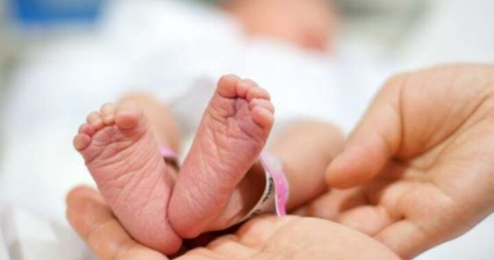 neonata prematura morta
