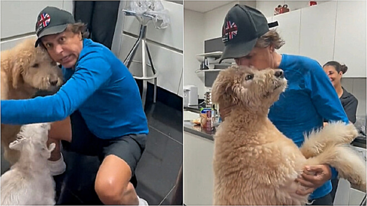 Per ricevere un abbraccio dal cane finge di cadere a terra