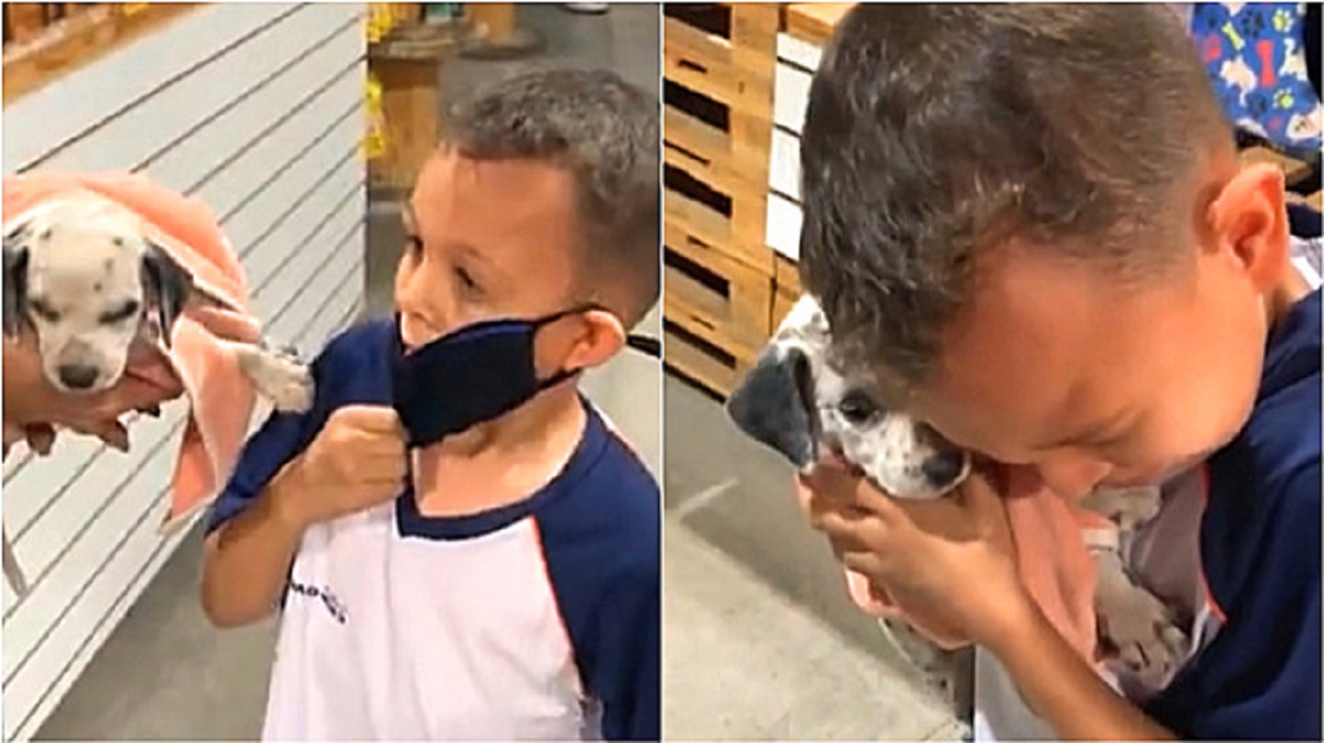 Ragazzo piange di gioia quando scopre che gli è stato dato un cucciolo in regalo