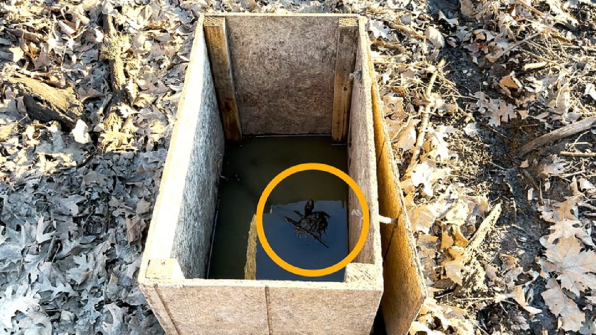 Una coppia di canoisti si è imbattuta in una strana scatola