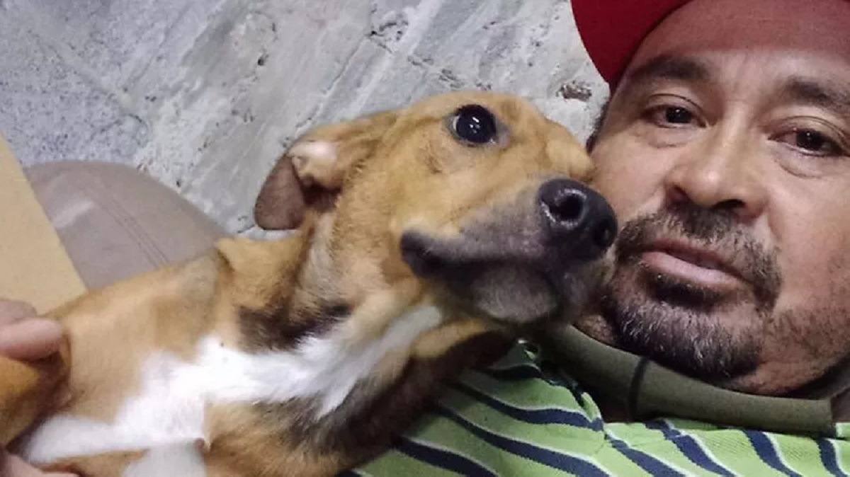 Uomo morso da un cane continua a salvare randagi in strada in Messico