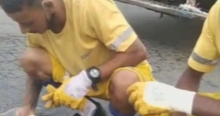 4 cuccioli appena nati salvati
