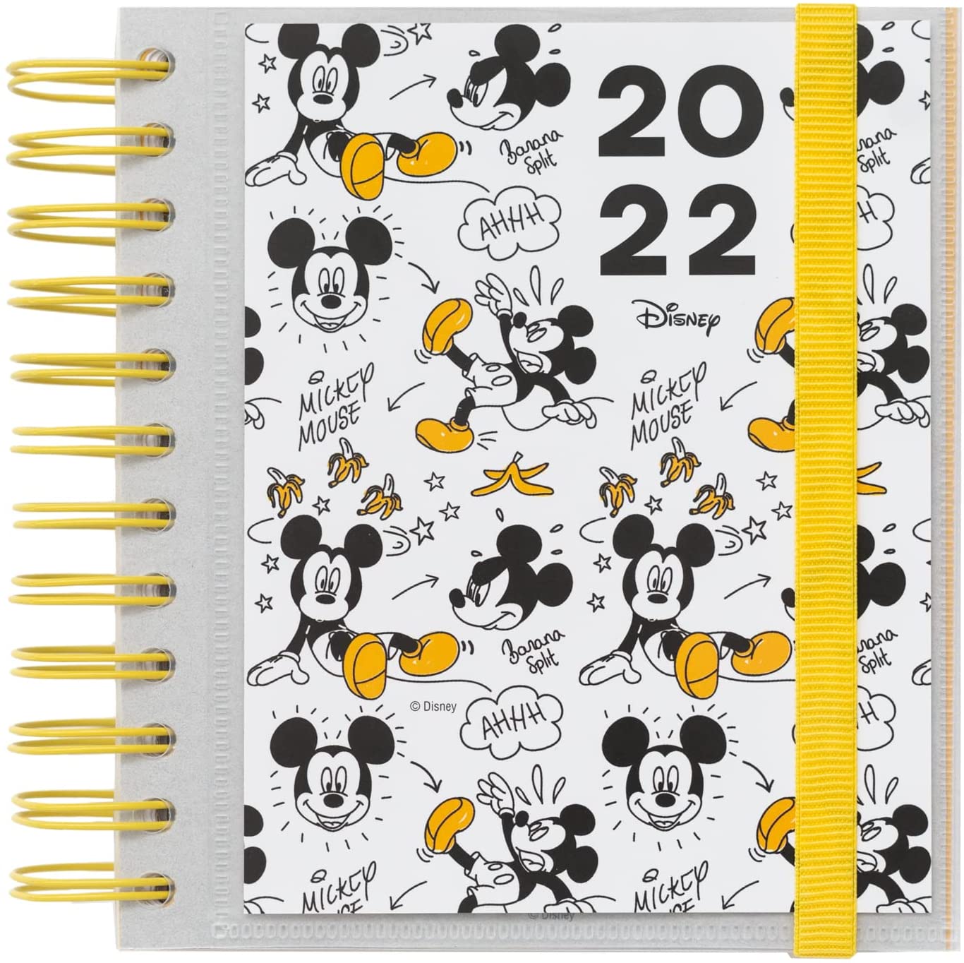 2022 Mickey Annual Diary - Disney Diary