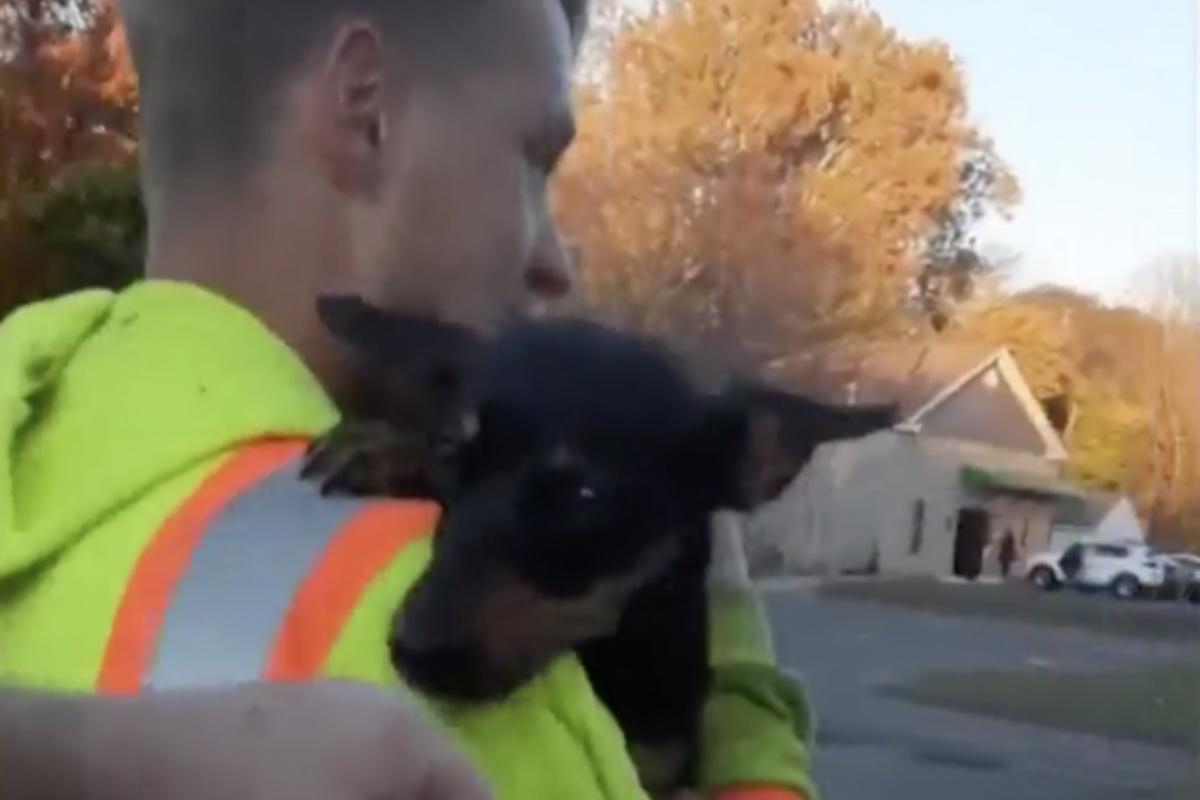 Andrew Grosky ha visto il cane tuffarsi nel fiume gelato e lo ha seguito per salvarlo