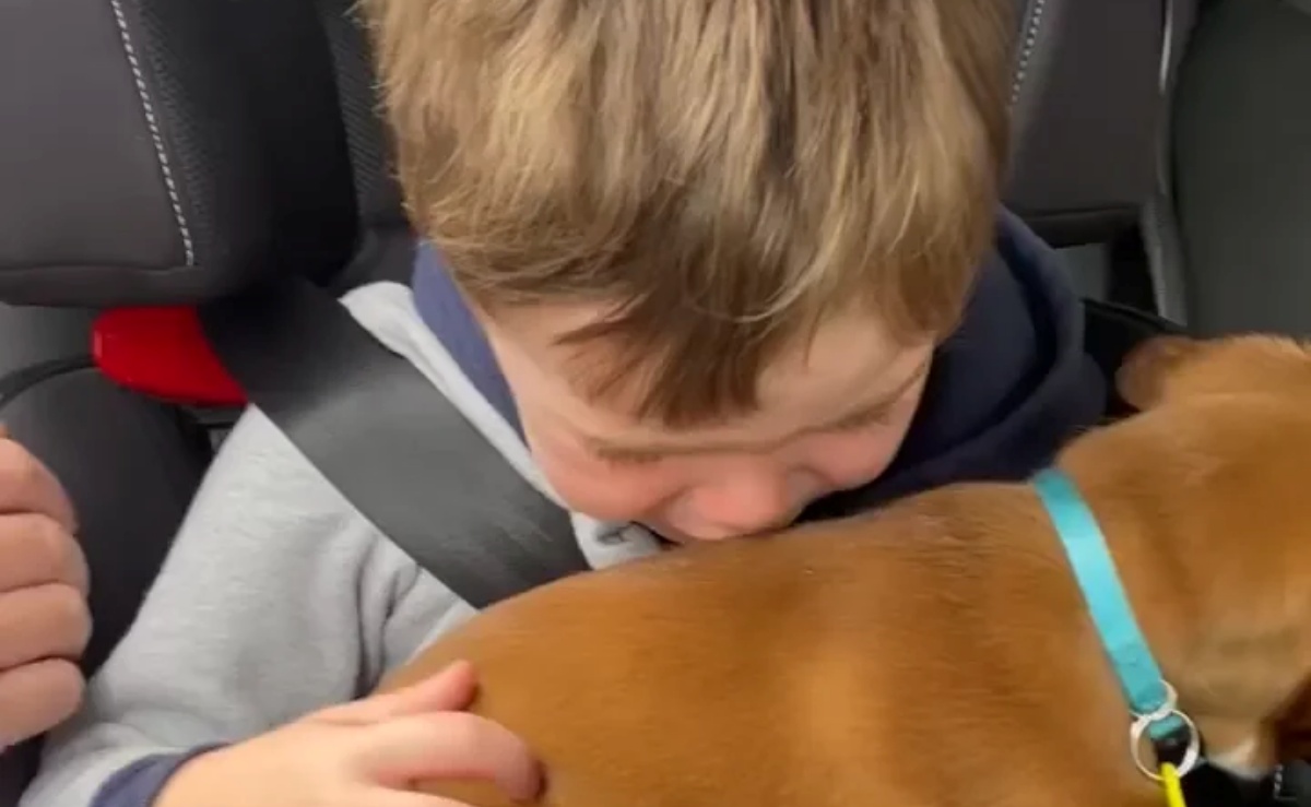 Bambino riceve un cucciolo per regalo