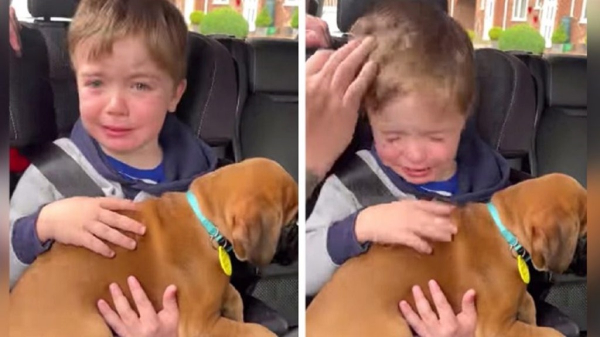 Child receives a puppy as a gift