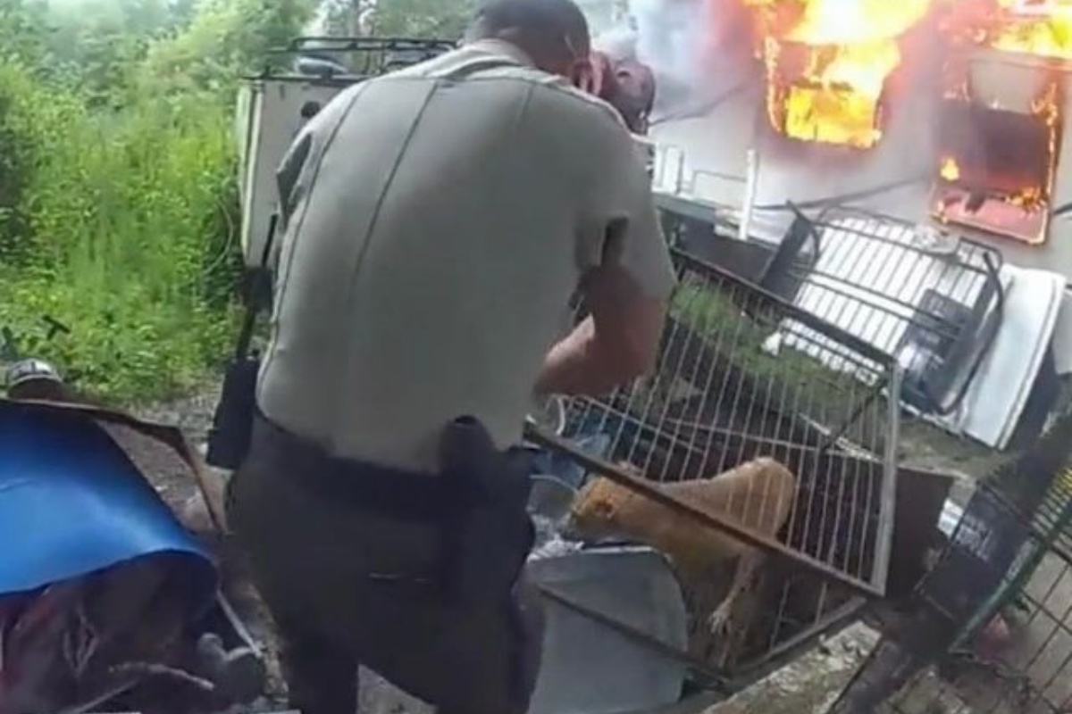 Poliziotti salvano due cagnolini avvolti dal fumo e dalle fiamme