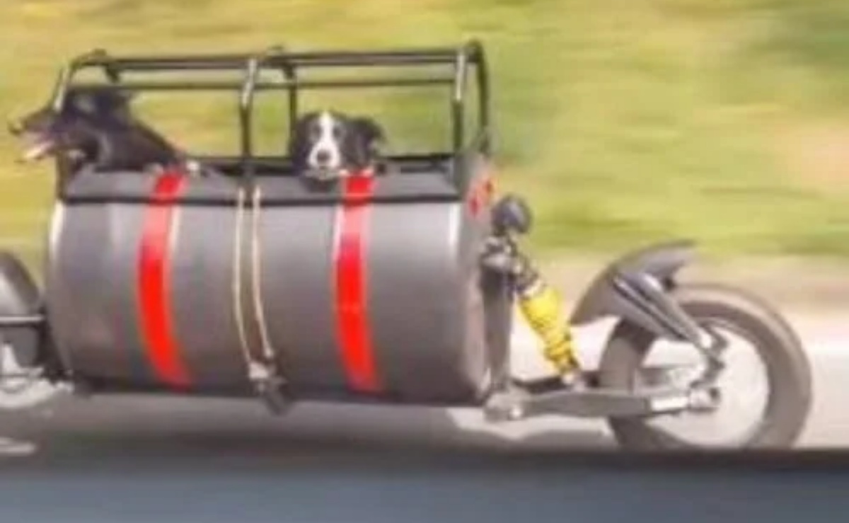 Il video virale di una giovane coppia