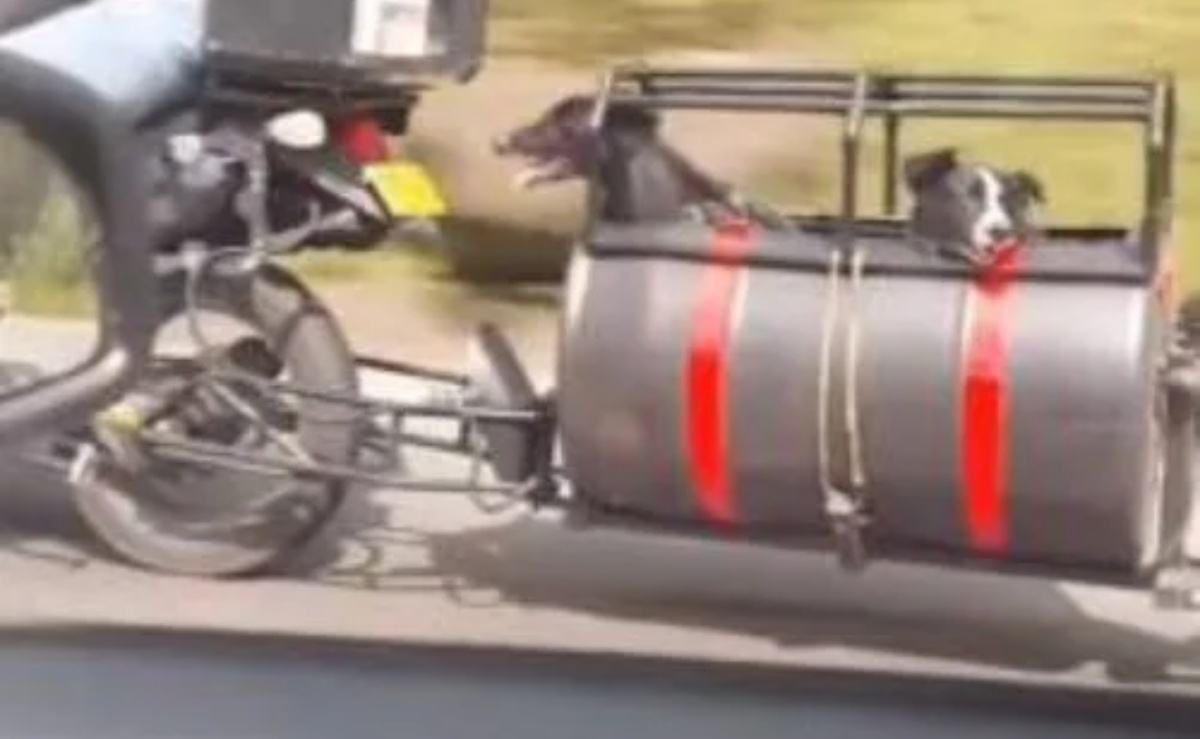 Il video virale di una giovane coppia