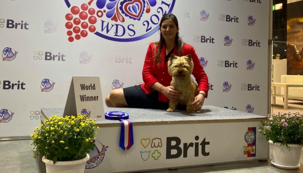 Grazie a Glen, l’Italia vince anche il titolo di cane più bello del mondo